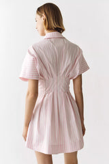 Tobie Mini Shirtdress